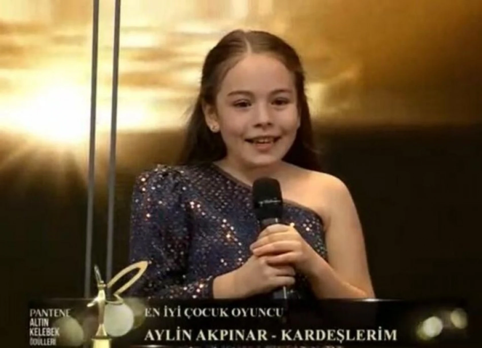 47. Altın Kelebek Ödülleri sahiplerini buldu