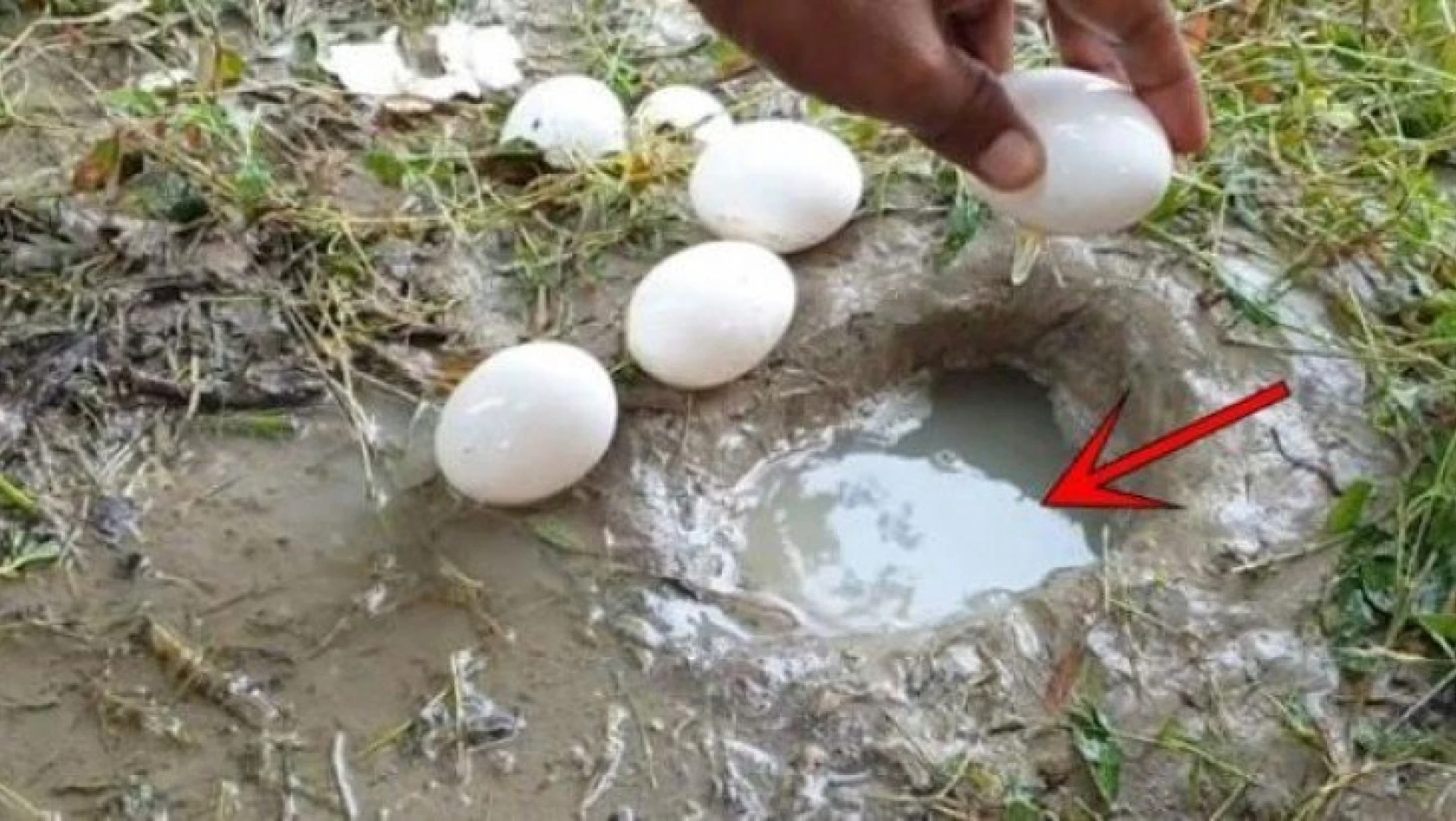 YouTube fenomeni suya yumurta kırarak balık avladı