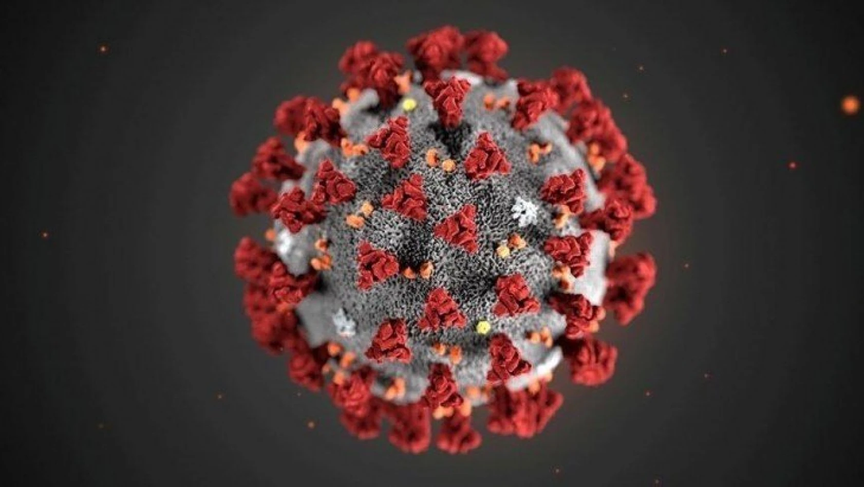 Çin, corona virüsünün tedavisi için ilaç denemelerine başlıyor