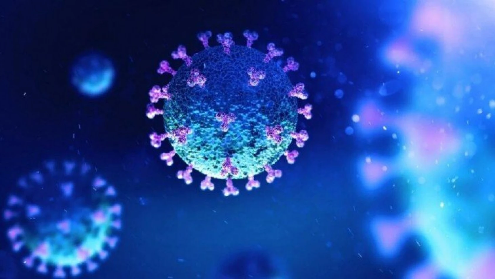 Çin, herkesi kandırmış! 'Koronavirüs hayvan pazarından çıktı' iddiası meğer yalanmış!