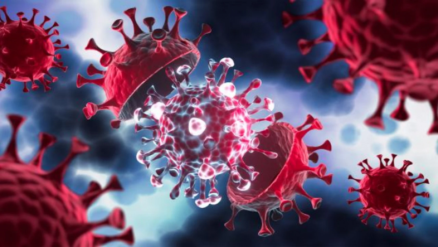 DSÖ'den endişe verici uyarı! Yeni koronavirüs varyantı ortaya çıkabilir!