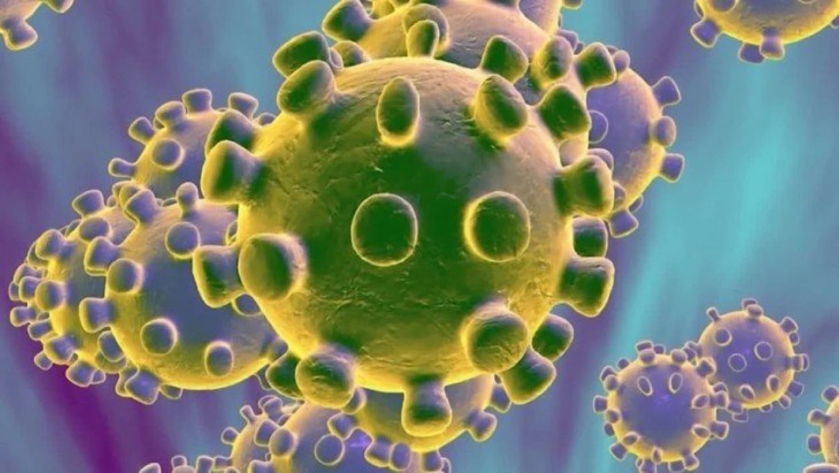 Dünya Sağlık Örgütü koronavirüs aşısı için tarih verdi