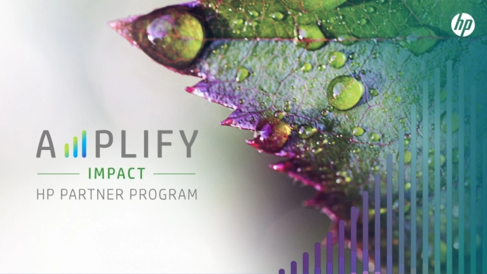 HP, Amplify Impact ile iş ortaklarının sürdürülebilirlik çalışmalarına destek oluyor