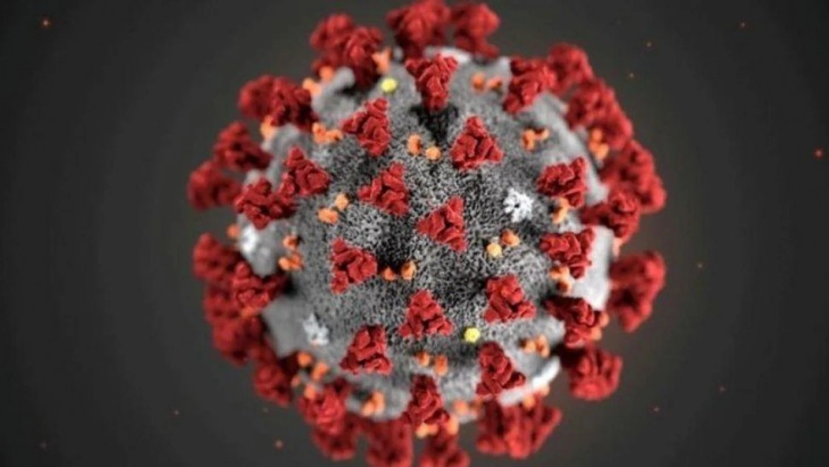 Korona virüsün bazı hastalarda neden geçmediği ortaya çıktı