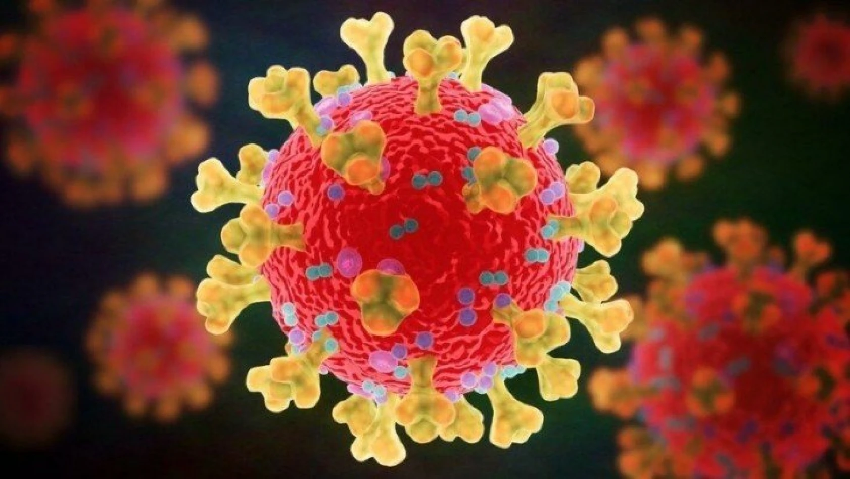 Koronavirüs aşısının kanda neden pıhtılaştığı ortaya çıktı