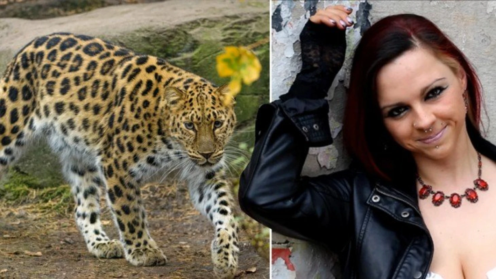 Model Jessica Leidolph, fotoğraf çekiminde leoparların saldırısına uğradı