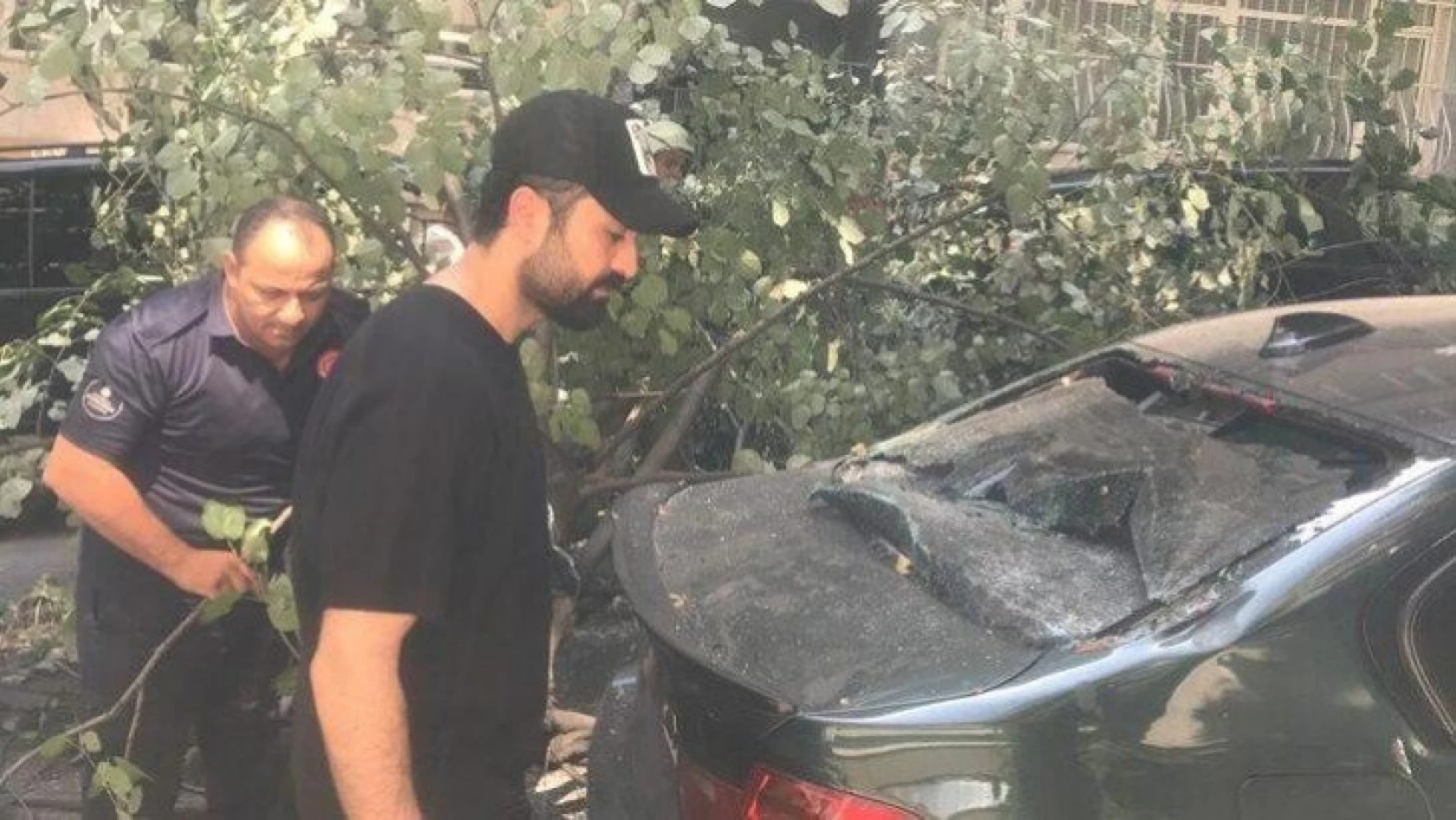 Oyuncu Tolga Sala'nın otomobilinin üstüne ağaç devrildi