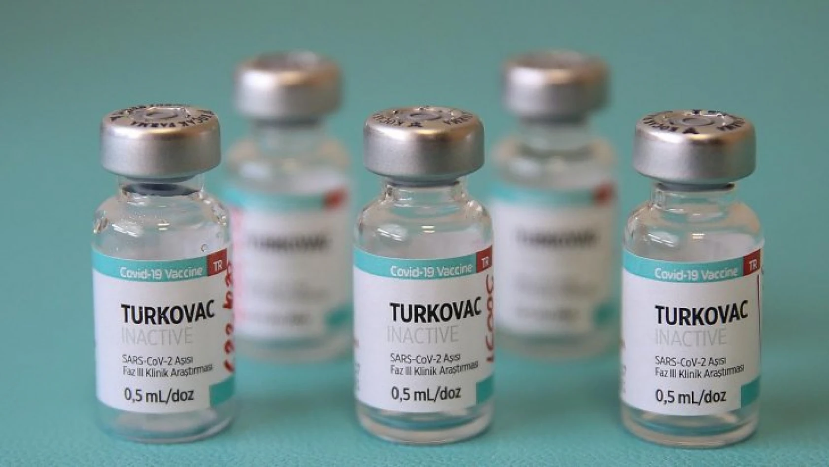 Turkovac aşısının Faz-3 sonuçları açıklandı