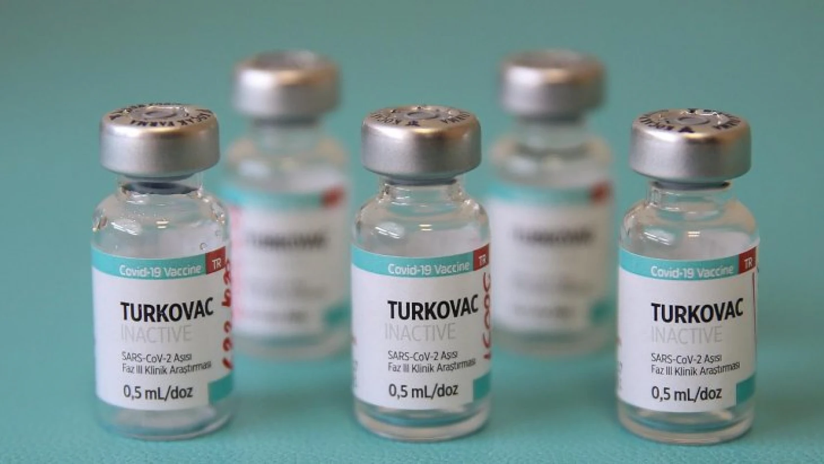 TURKOVAC aşısının korona virüse karşı etkinlik oranı belli oldu