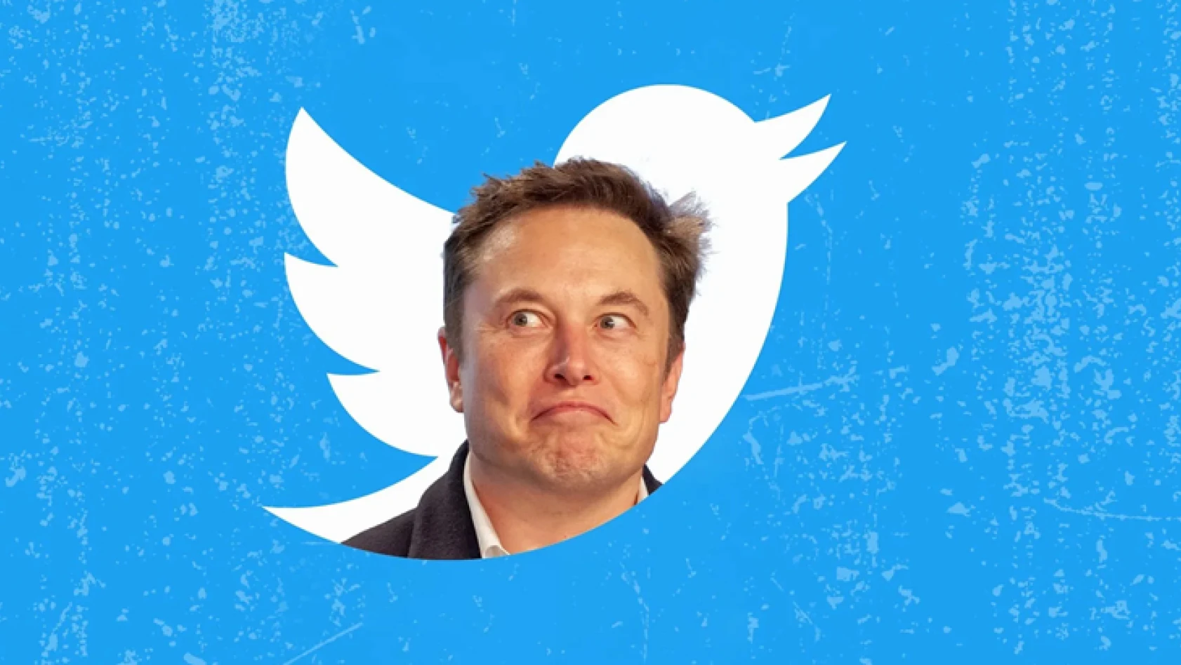 Twitter'a yeni özellik geliyor! Elon Musk duyurdu!