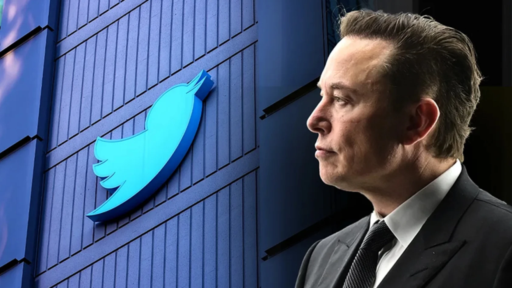 Twitter hissedarları, 'Elon Musk' dedi!